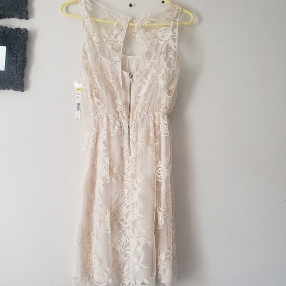 2X HP. ALICE And Olivia Darcy Lace Layover Dress - Picture 6 of 13